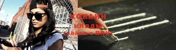 индика Балашиха