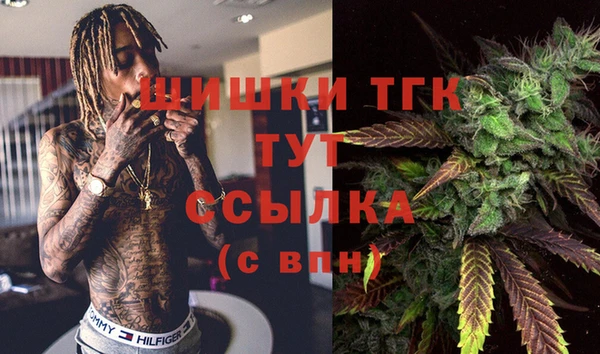 гидра Лабытнанги