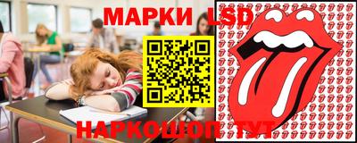 mdpv Гатчина