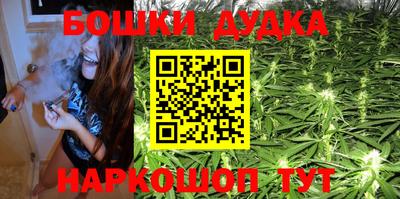mdpv Гатчина
