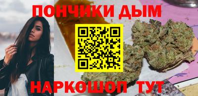 mdpv Гатчина