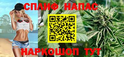 mdpv Гатчина