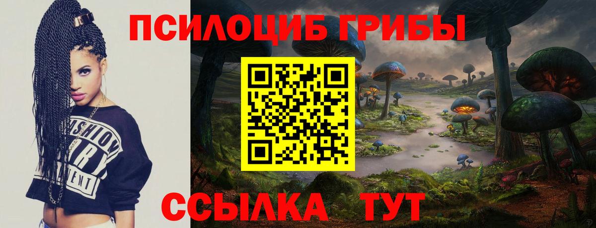 Псилоцибиновые грибы мухоморы  Вход с VPN  Кемерово 