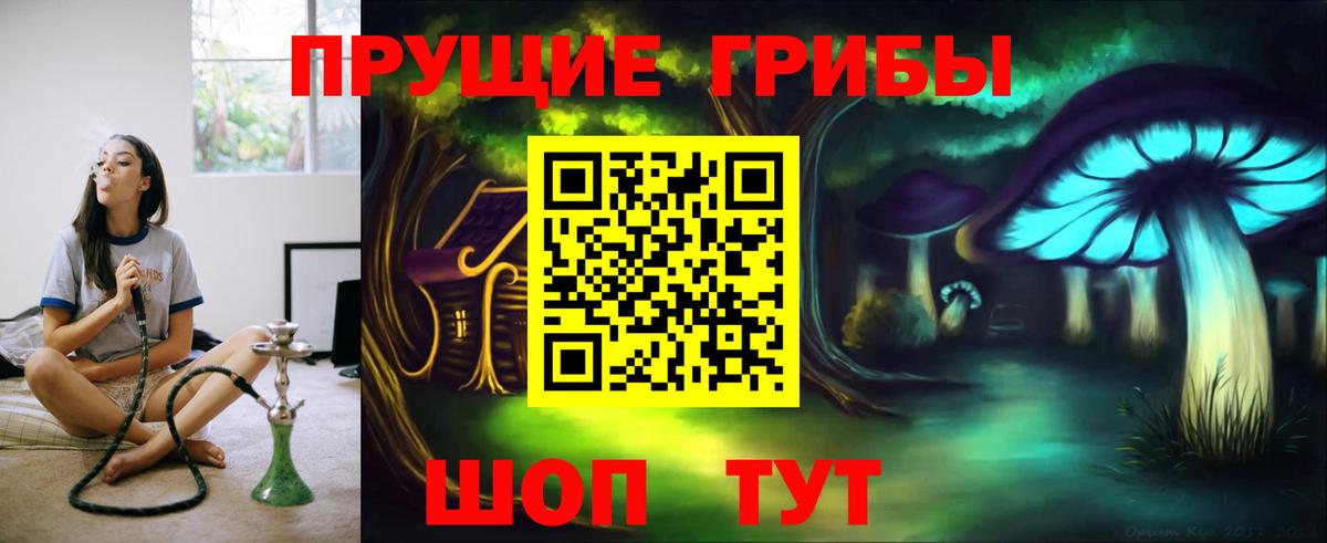 Псилоцибиновые грибы мицелий Кемерово